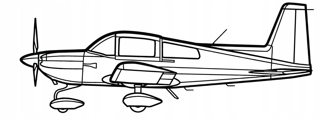 nástěnná dekorace Obraz AG-5B Tiger