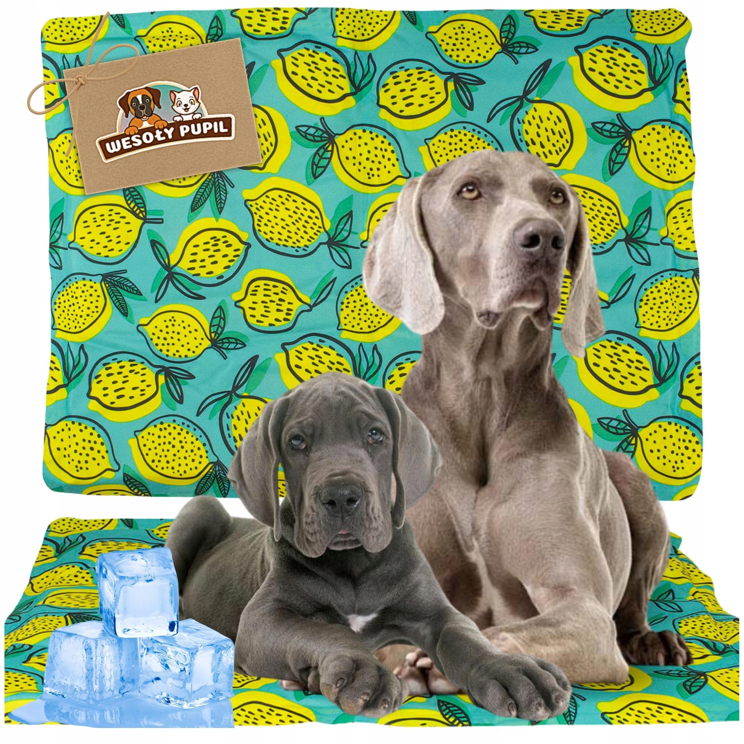 Chladicí podložka pro velkého psa, voděodolná, na Léto a Horko, XL 96x81 cm