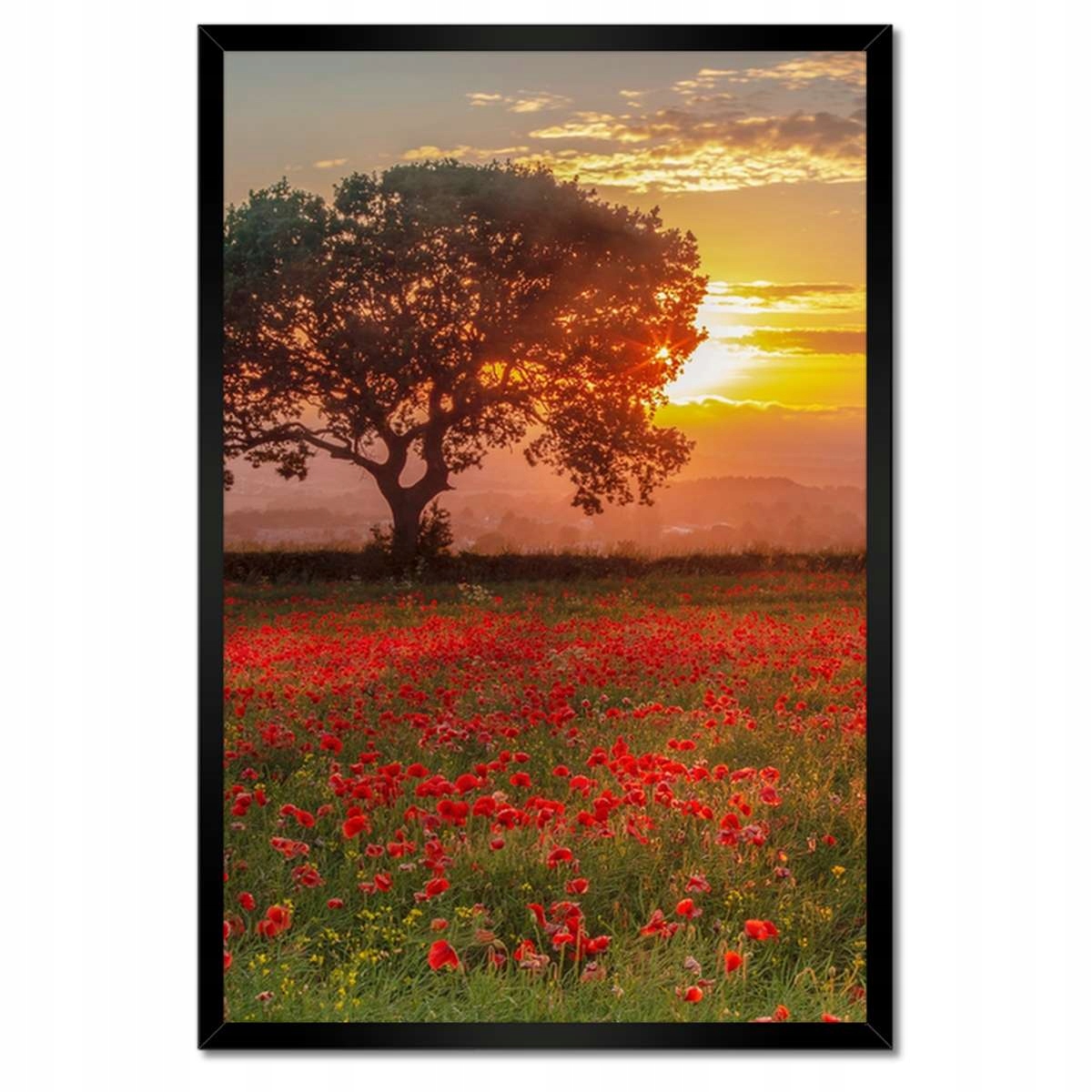 Plakáty v rámu 40x60 Maki na poli Krajina