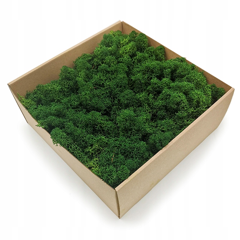 Mech Chrobotek Alpejski Premium 500g Marka inna