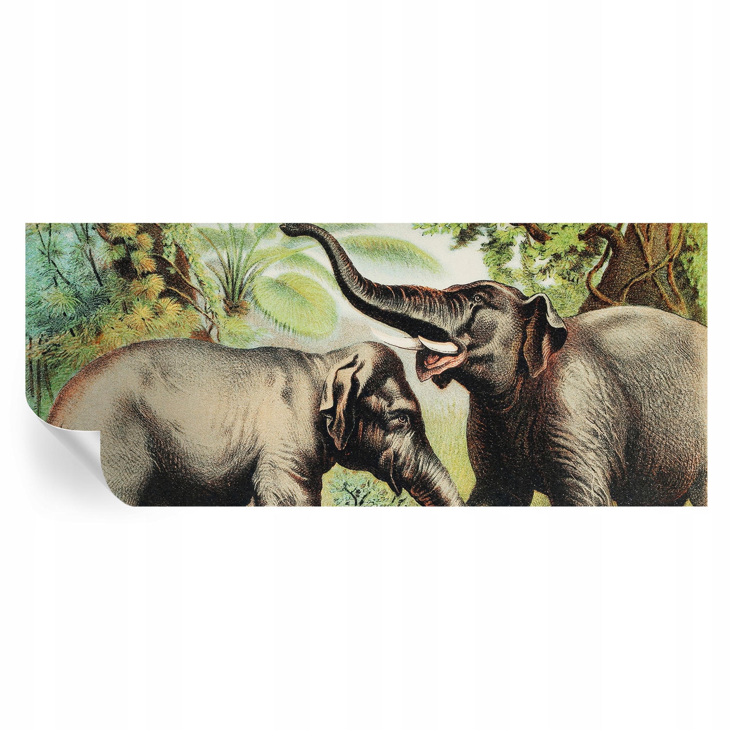 Samolepicí tapeta Módní s 3D nástěnným lepidlem Rodinní sloni 250 x 104 cm