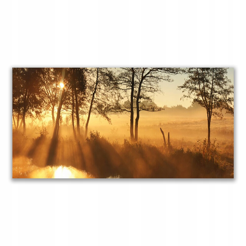 

Obraz akryl na ścianę ścienny 120x60 Drzewa Natura