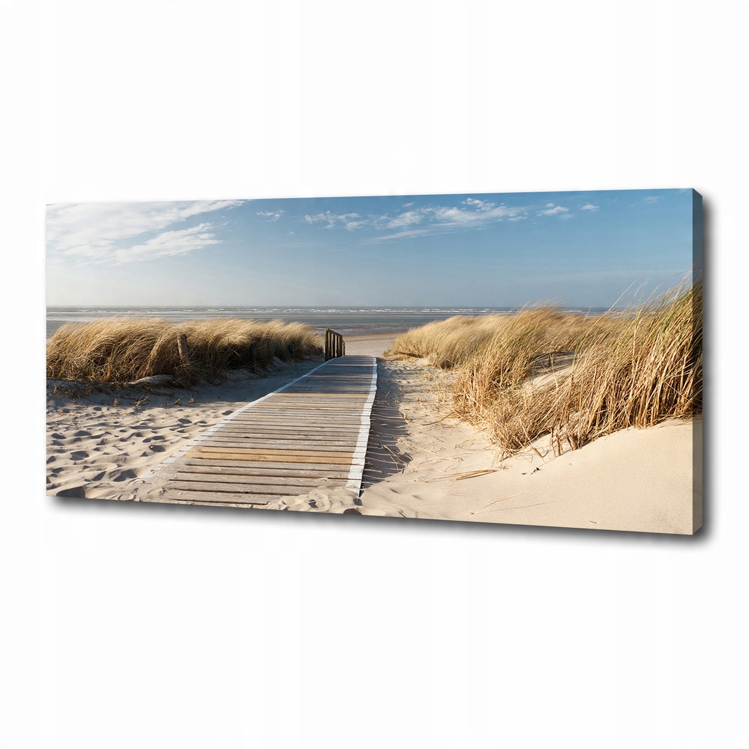 

Foto obraz na płótnie Ścieżka na plaży 125x50 cm