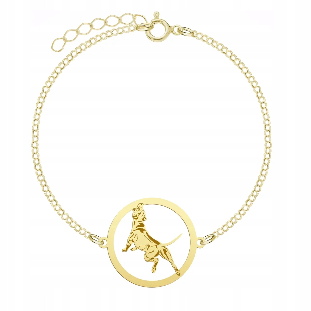 Zlatý náramek Pitbull 925 Šperky Žena Gravírování Bonus