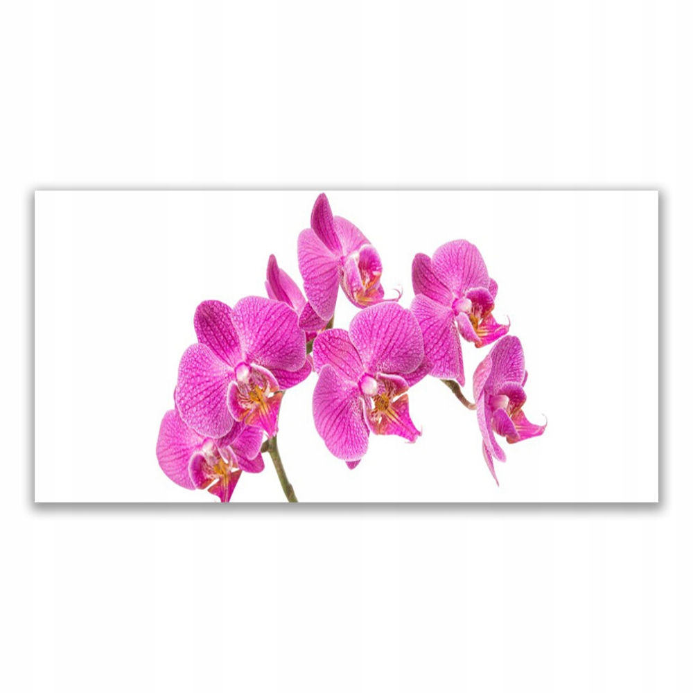 

Fotoobraz nowoczesny 120x60 Orchidea Kwiaty Natura