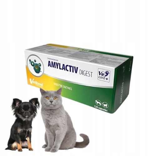 Vetfood Amylactiv Digest 120 kaps. Wsparcie trawienia psa i kota