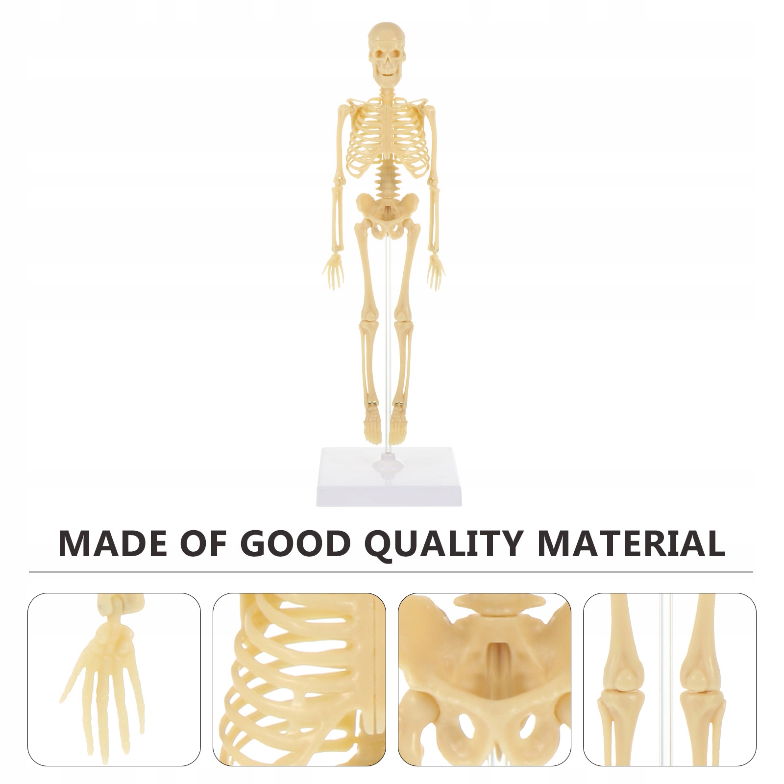 Puzzle model anatomii szkieletu człowieka Marka bez marki