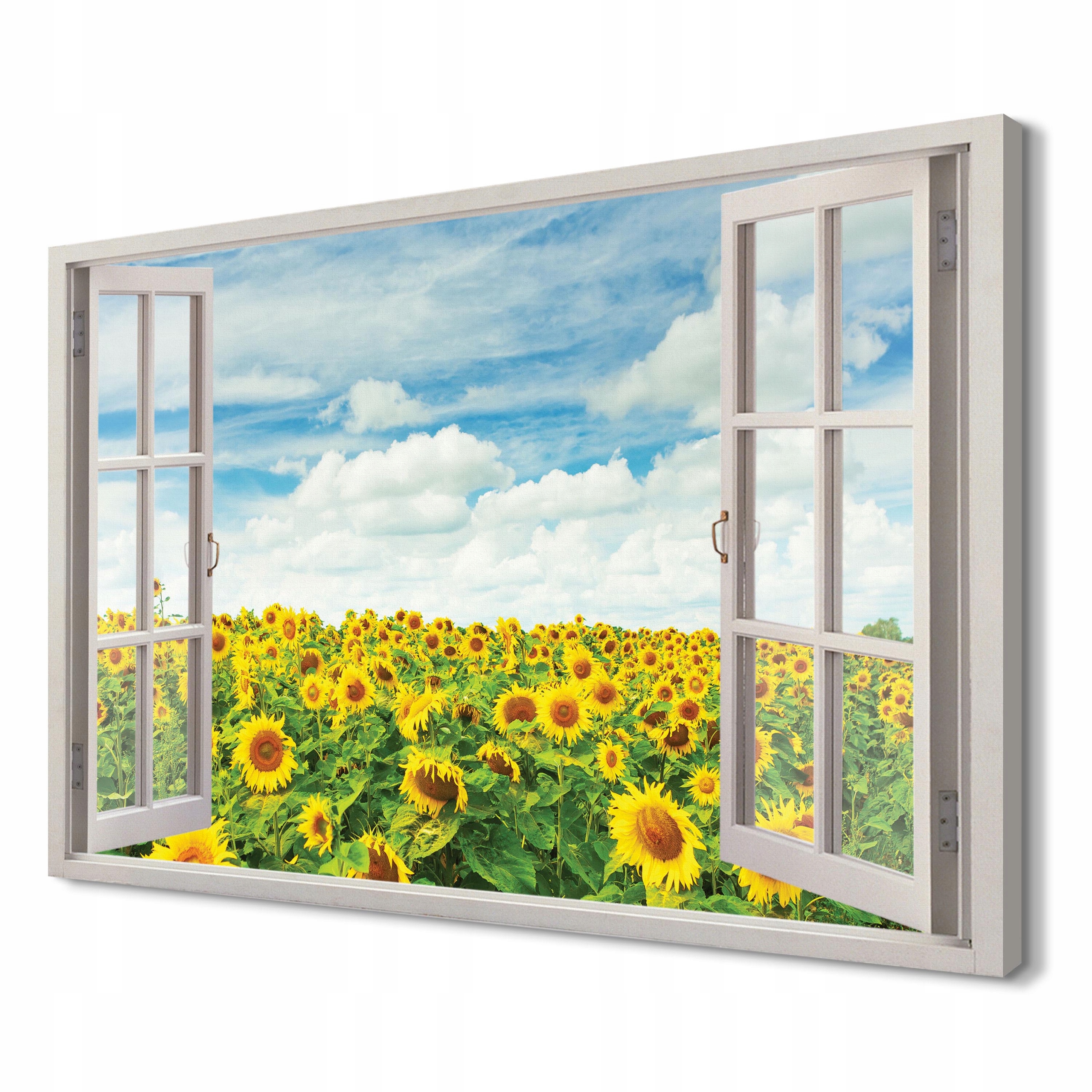 

Pole słoneczniki Canvas 3d 120x80 na ścianę mały