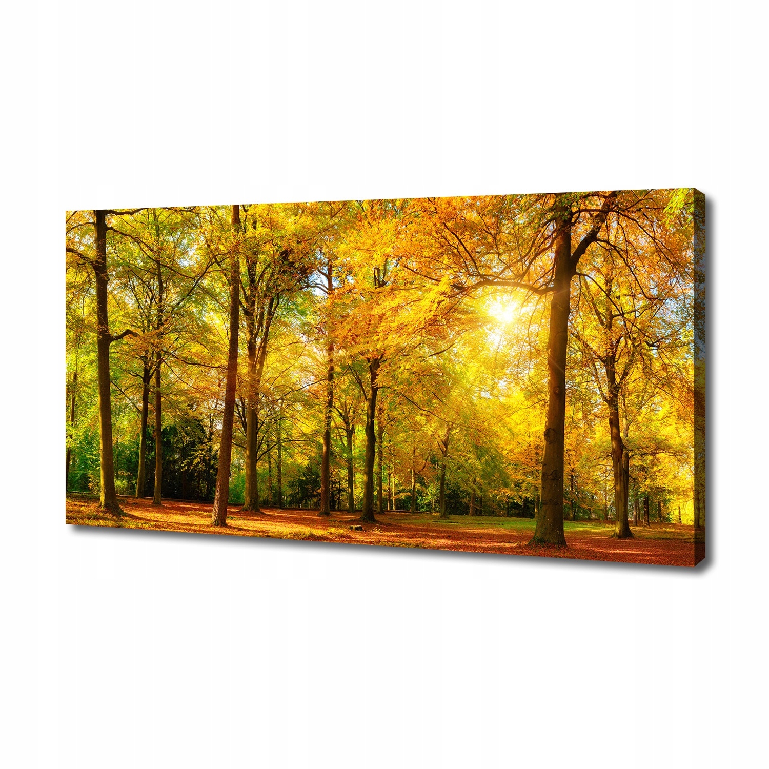 

Foto obraz duży na płótnie Las jesienią 140x70 cm