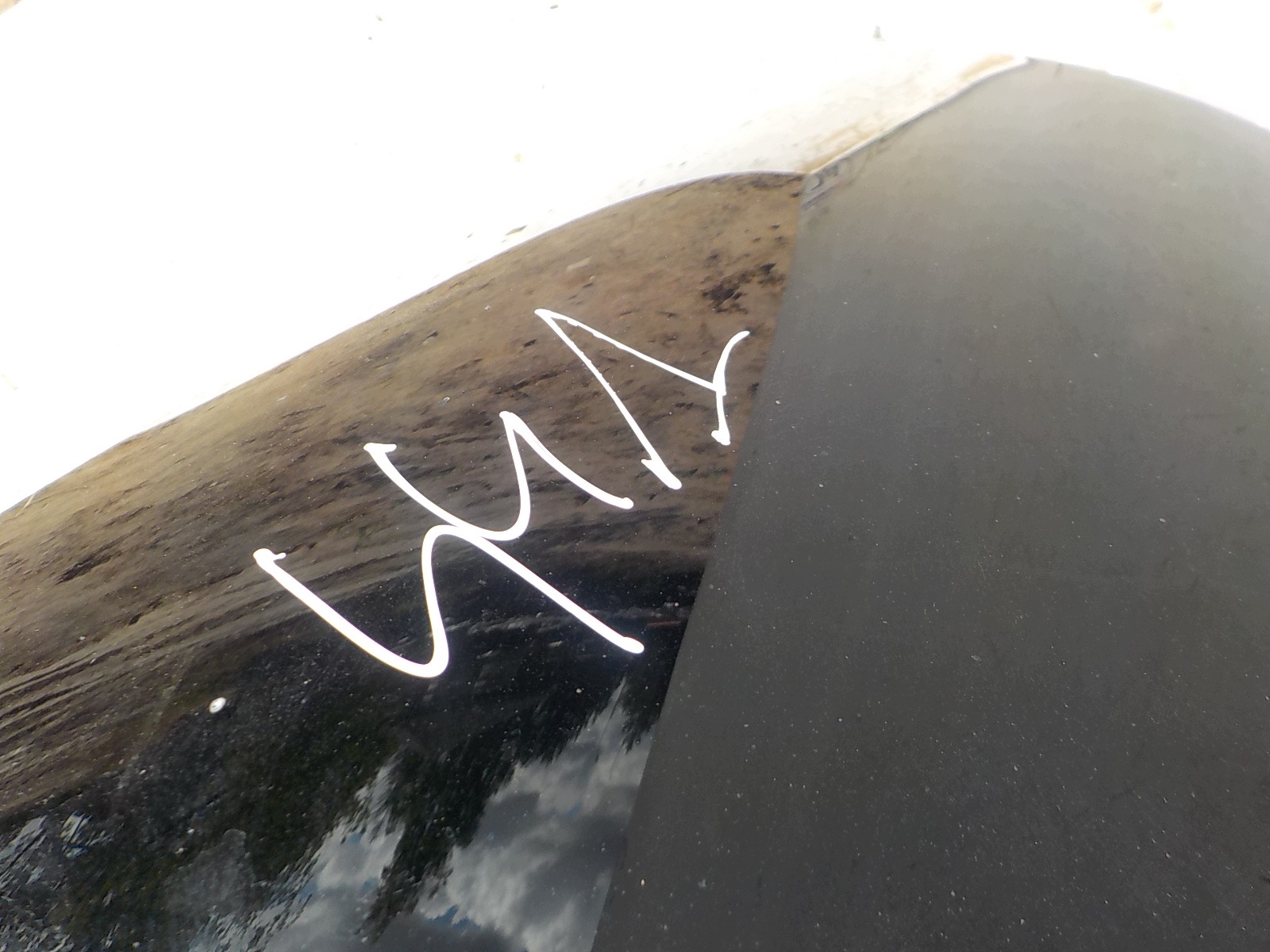 441 OPEL ZAFIRA C boot door rear