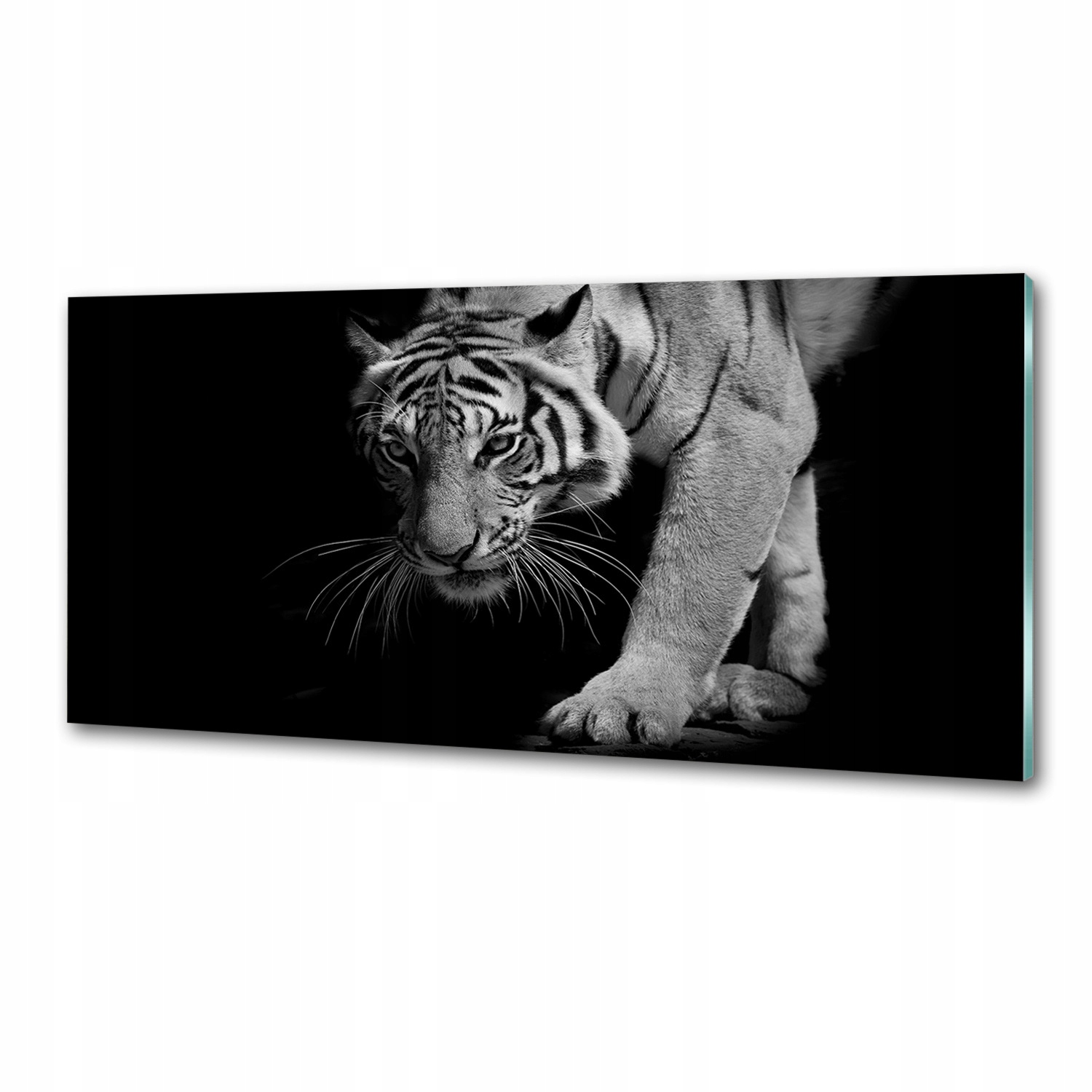 Sklenený panel do kuchyne Tiger 125 x 50 cm Lepidlo