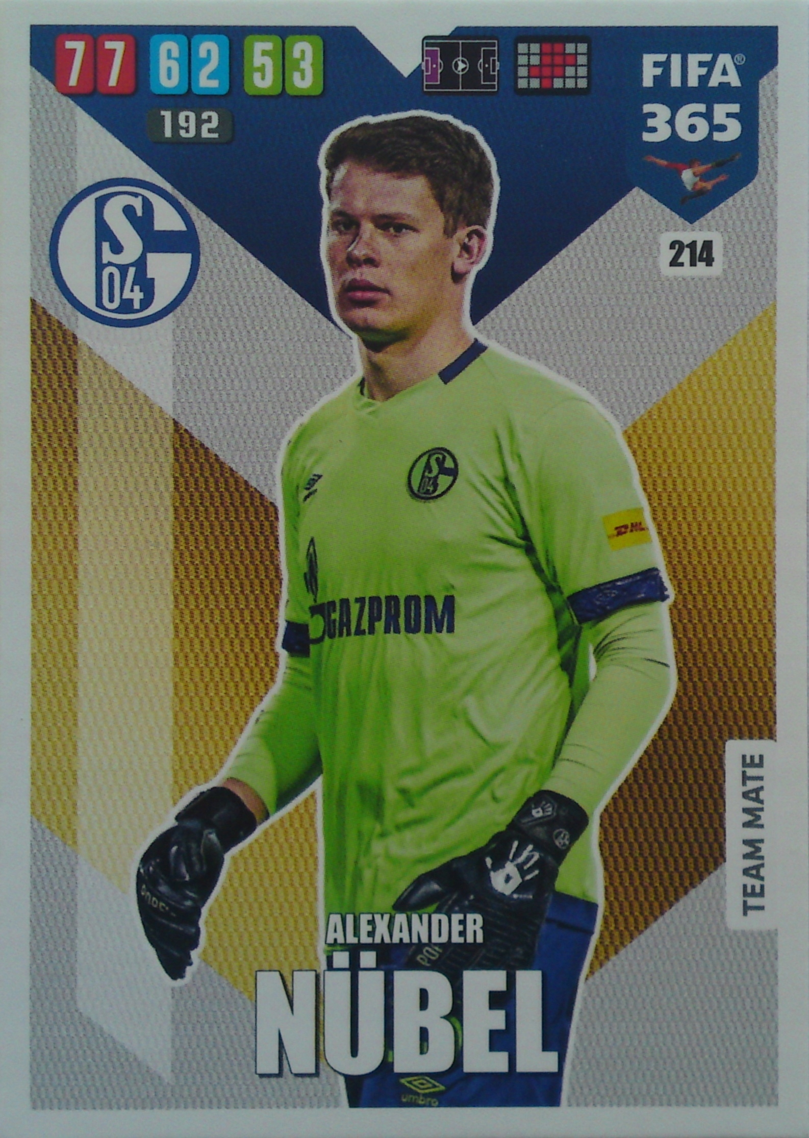 Fifa 365 2020 Team Mate Alexander Nübel 214