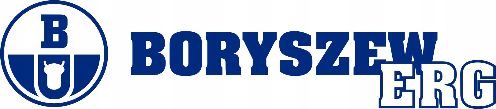 BORYSZEW Borygo Płyn hamulcowy R3 / 205 500ml Producent Borygo