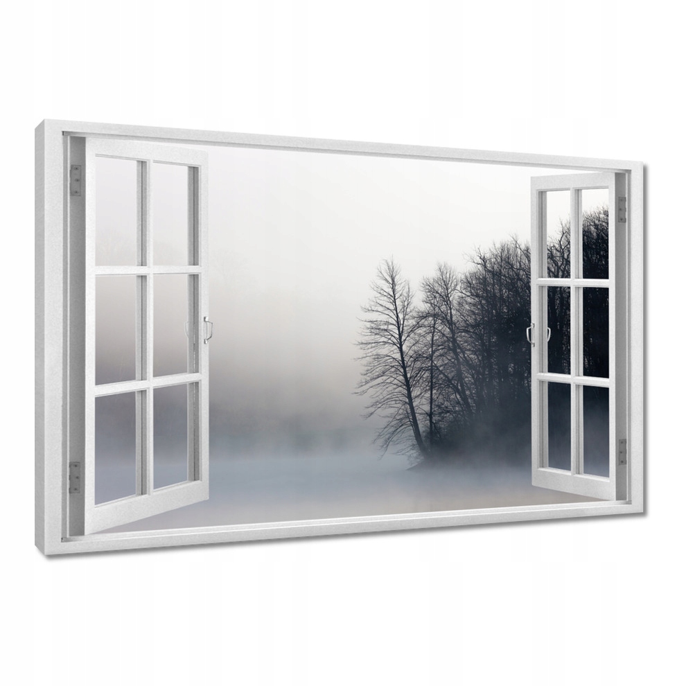 

Obrazy 120x80 Mglisty Las Zima