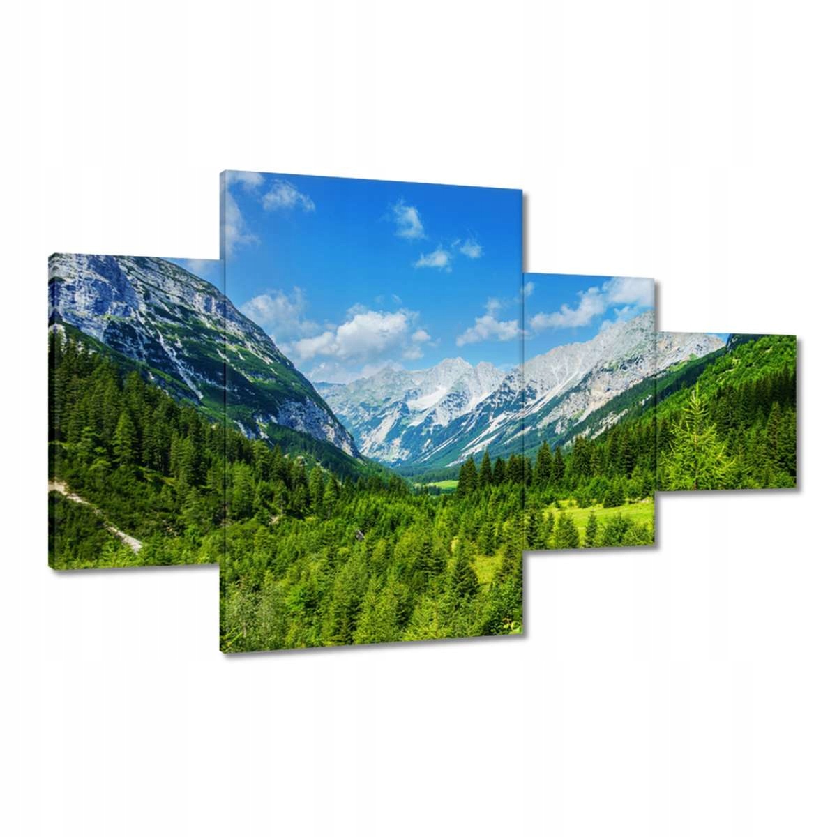 Obrazy 130x80 Horská krajina s krásnými mraky Stromy v horách