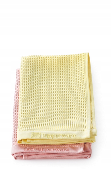 ŚCIERECZKA DO SZYB 2SZT TUPPERWARE