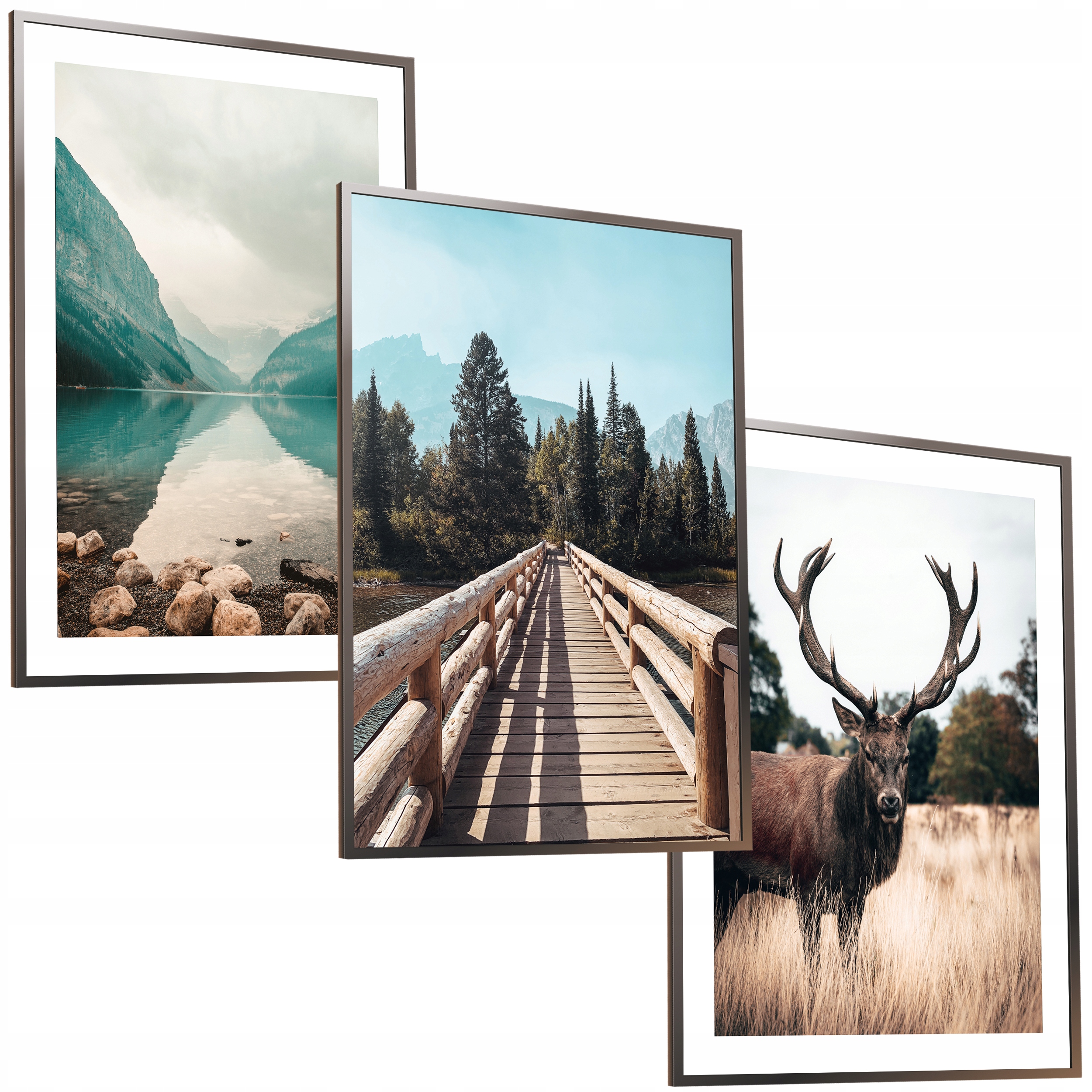 

30x40 Obraz W Ramie Plakat Ramka Jeleń Góry Natura