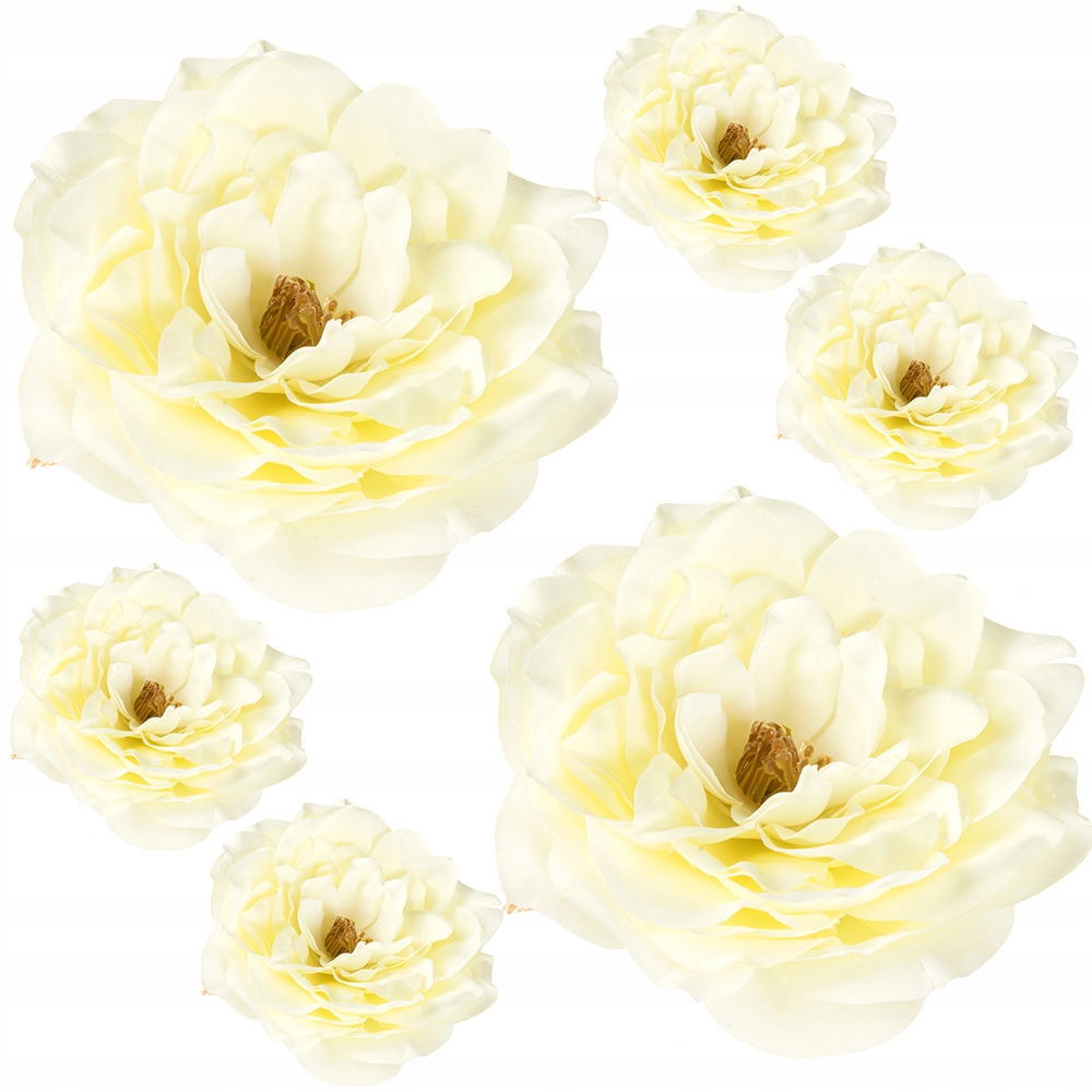 

Peonie Główki Kwiatowe Główka Piwonii Peonia 6szt