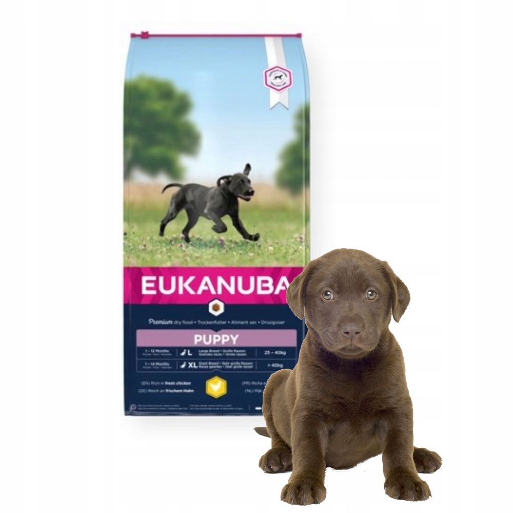 Eukanuba large breed puppy cheap 15kg