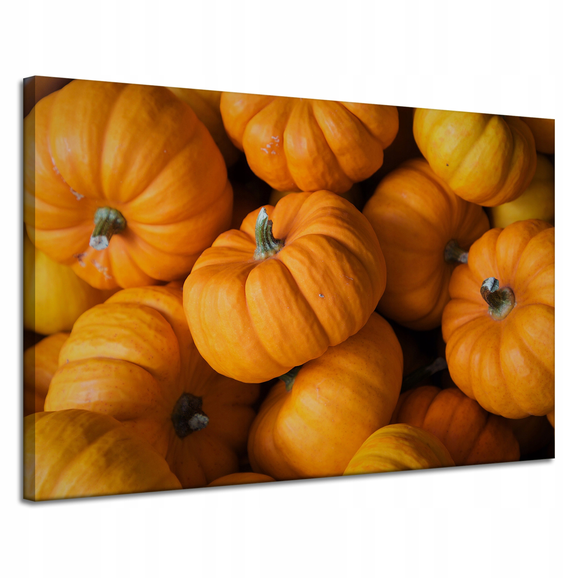 Obraz Canvas Kuchyně Dýně na plátně 120x80 cm