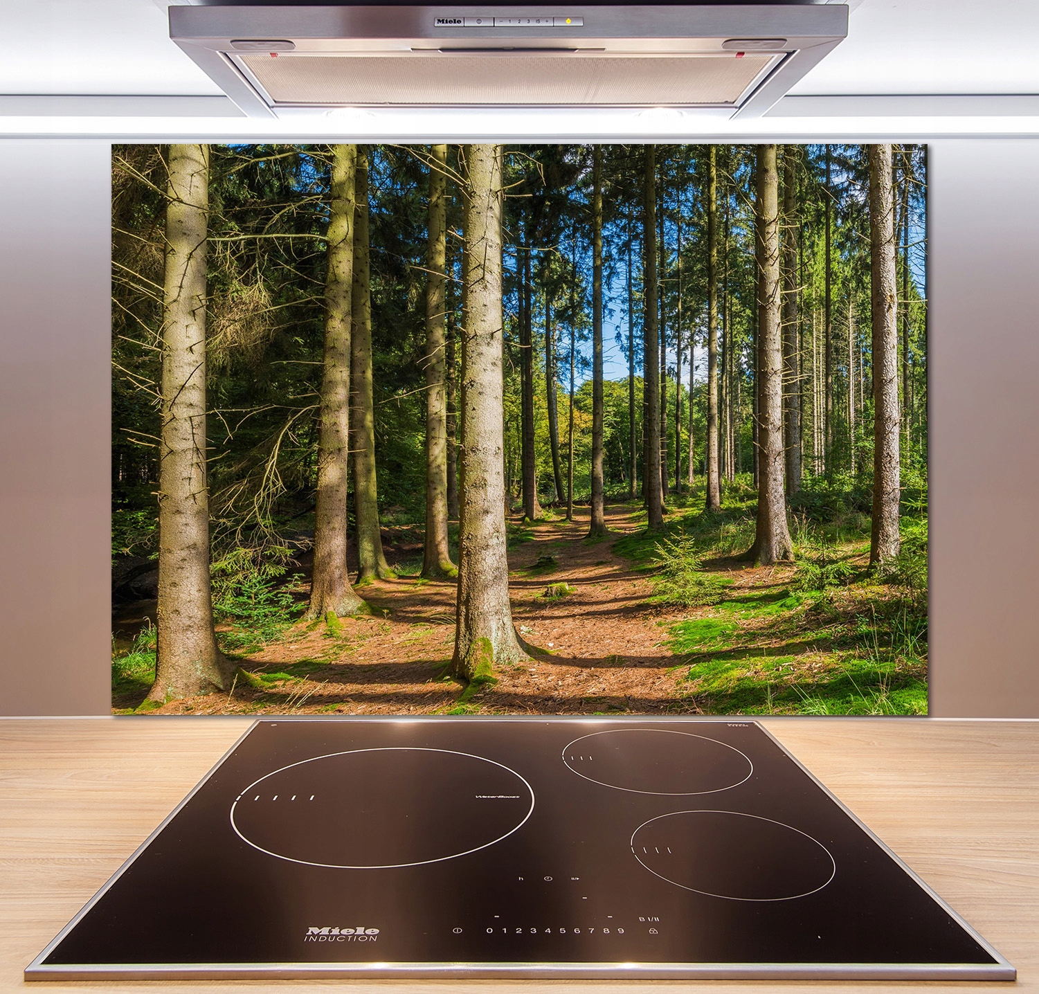 

Panel do kuchni Panorama lasu 100x70 cm + Klej