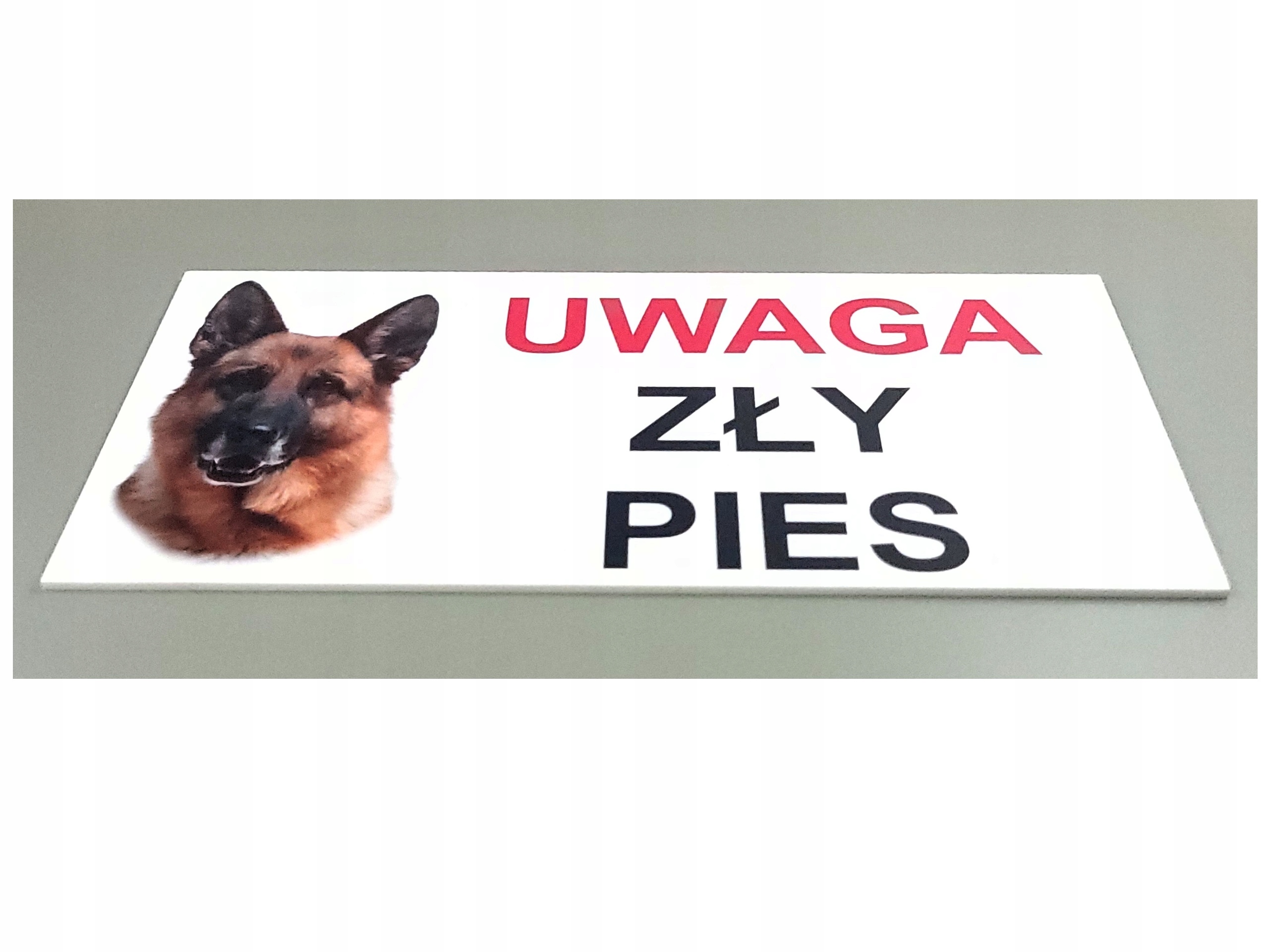 UWAGA ZŁY PIES TABLICZKA INFORMACYJNA 20X10cm UV