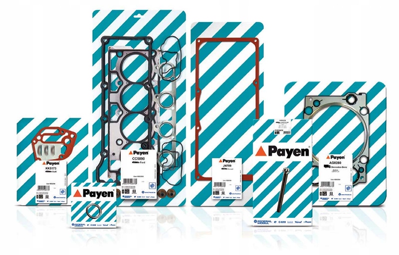 PAYEN ZESTAW USZCZELEK ŚRUBY MISKI OLEJOWEJ DS DS 3 0.8 1221 1391 0.8 Producent części Payen