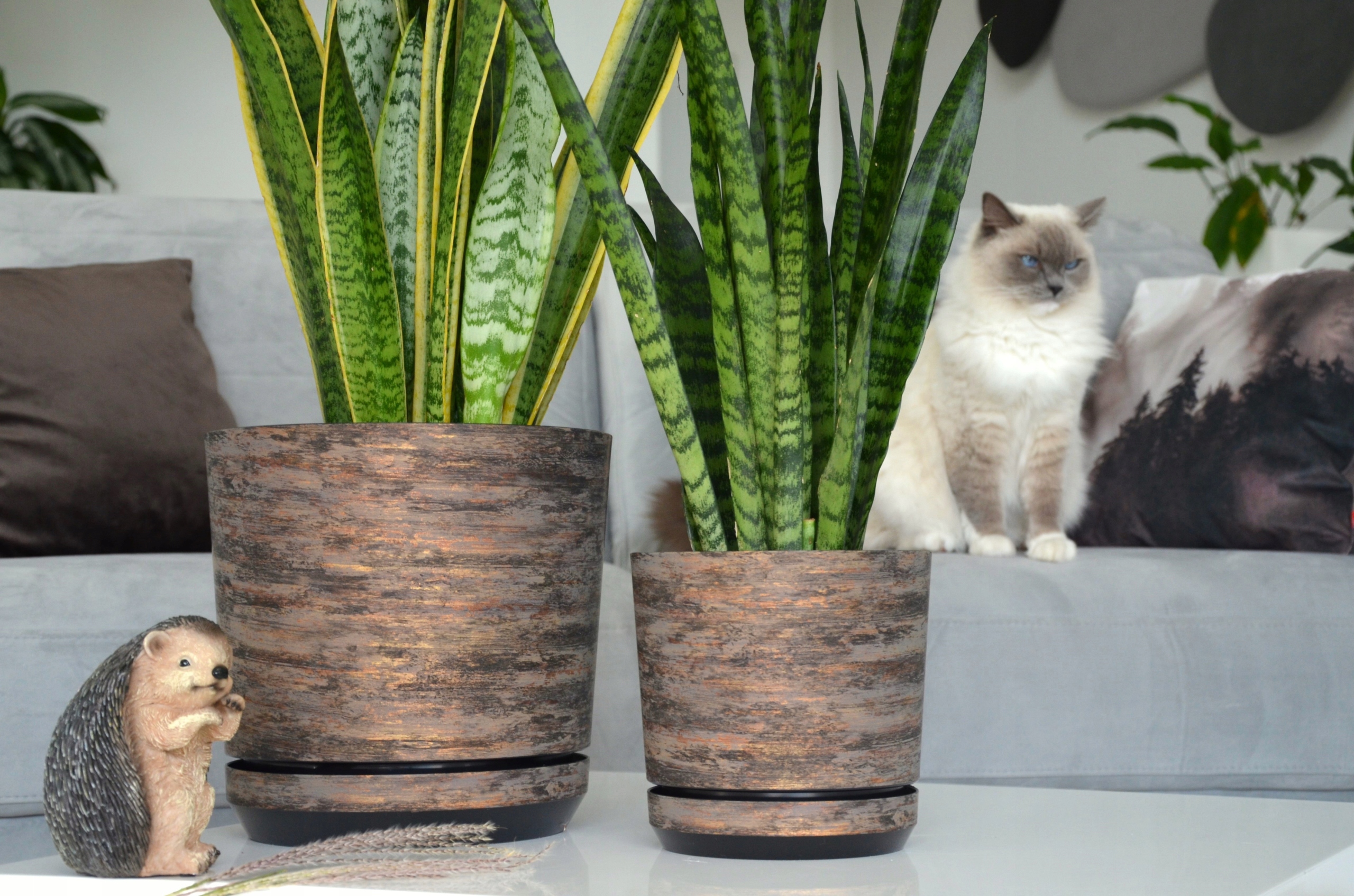 18 RDZAWA KORA Doniczka z podstawką barwy lasu Szerokość produktu 18.5 cm