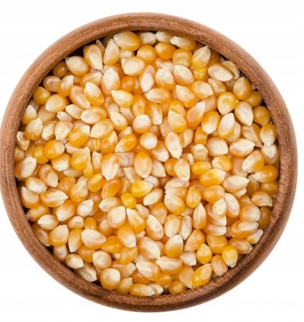 Kukuřice na popcorn 25 kg zrna kukuřice k pražení bez soli Bakamo