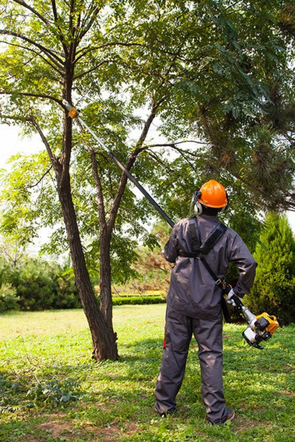 PIŁA SPALINOWA OKRZESYWARKA TELESKOPOWA DO GAŁĘZI Producent łańcucha Oregon