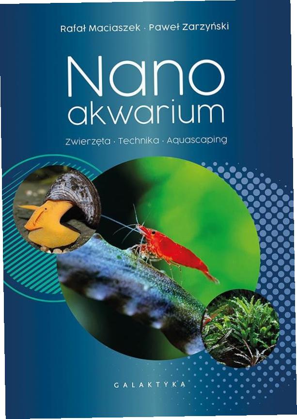 Nanoakwarium. Zwierzęta, technika, aquascaping-Zdjęcie-0