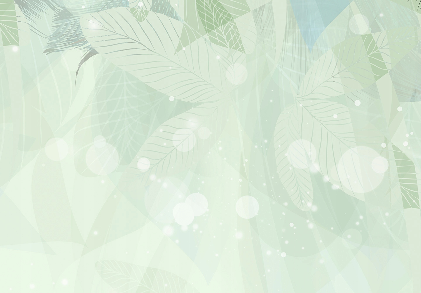 FOTOTAPETA PIÓRKA KWIATY 400x280 f-C-0490-a-a Wysokość produktu 280 cm