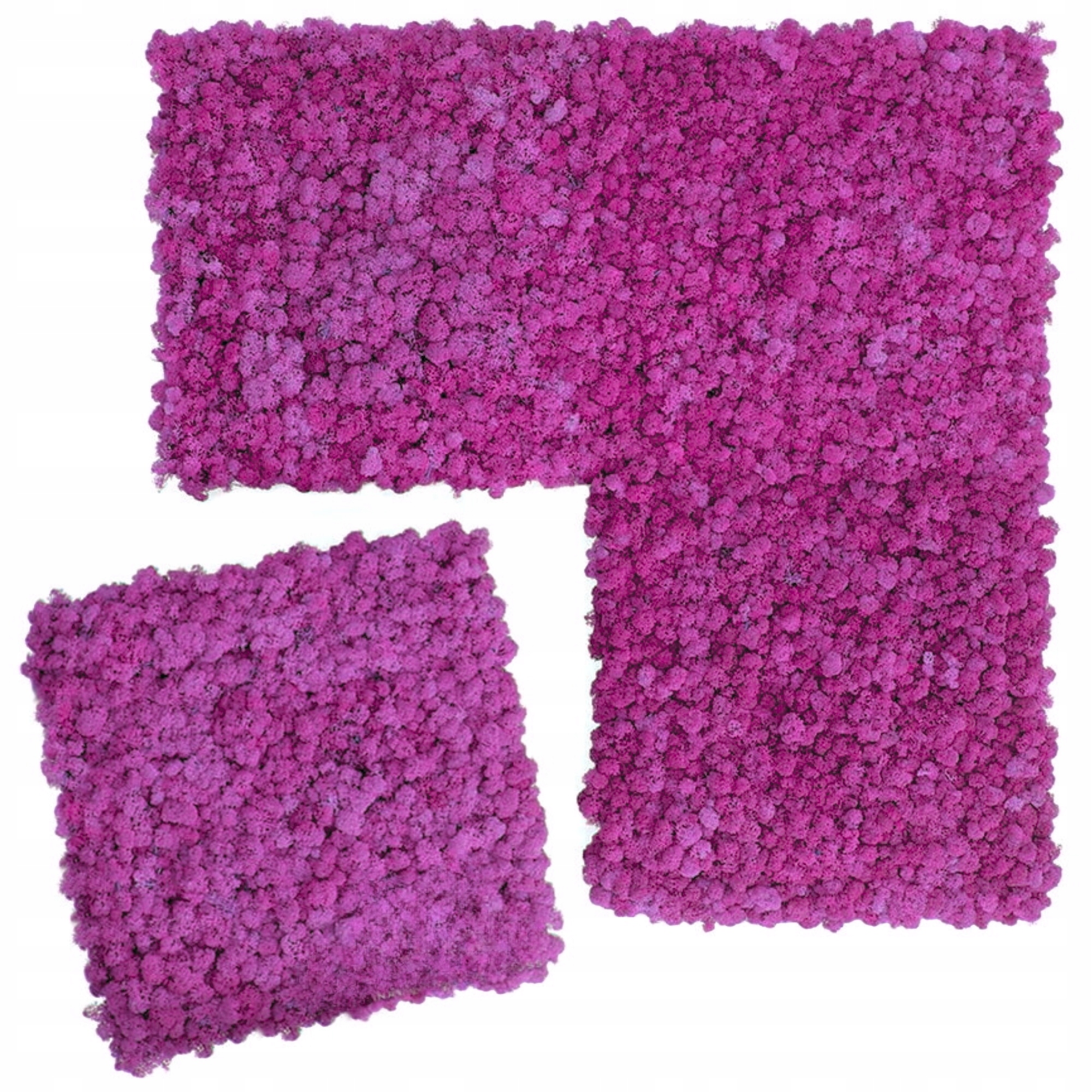 Mechový panel chrobotka sobí mech Zelená Stěna mechová stěna 50x50 cm