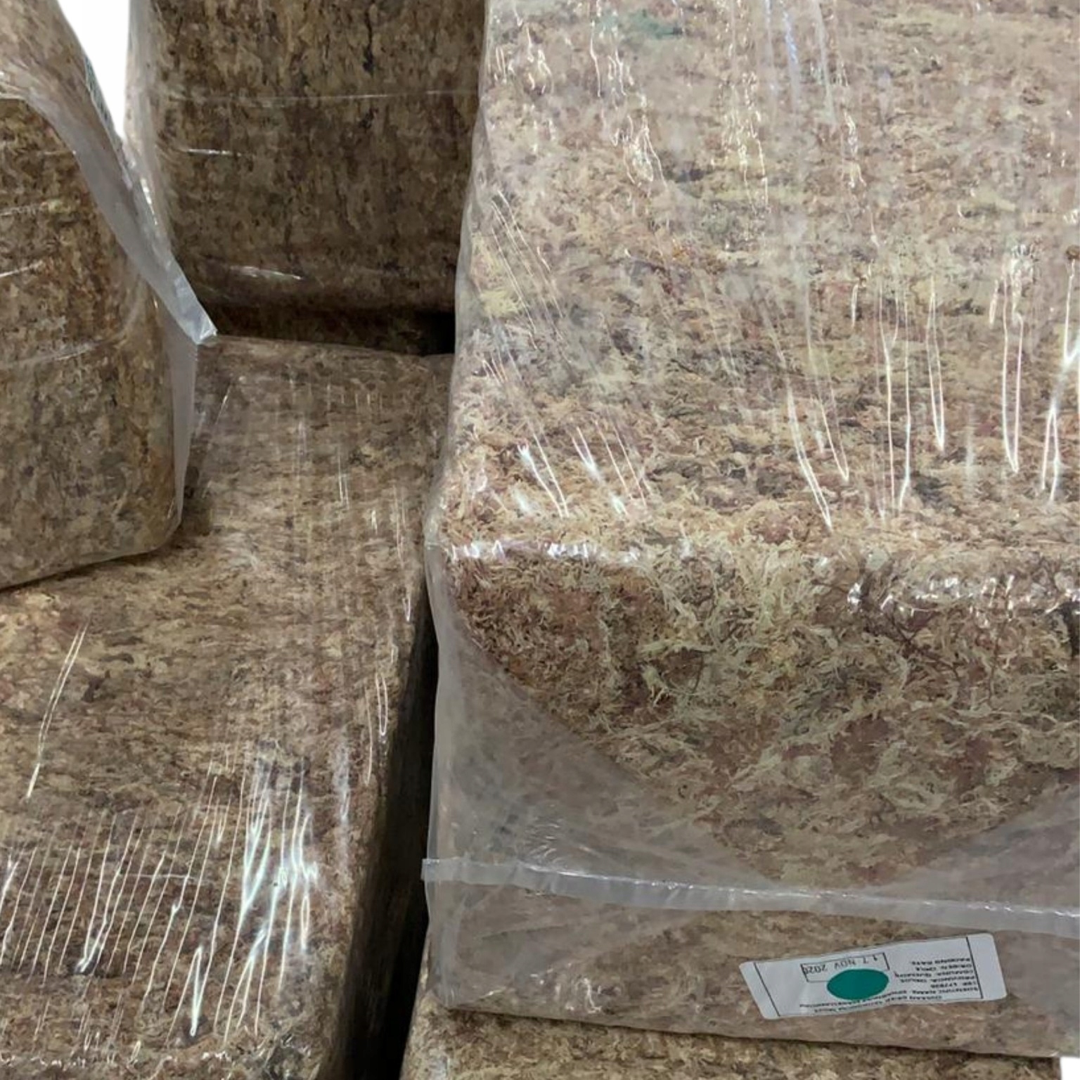 Levně Mech rašelinový 5kg Sphagnum Chile Argentina