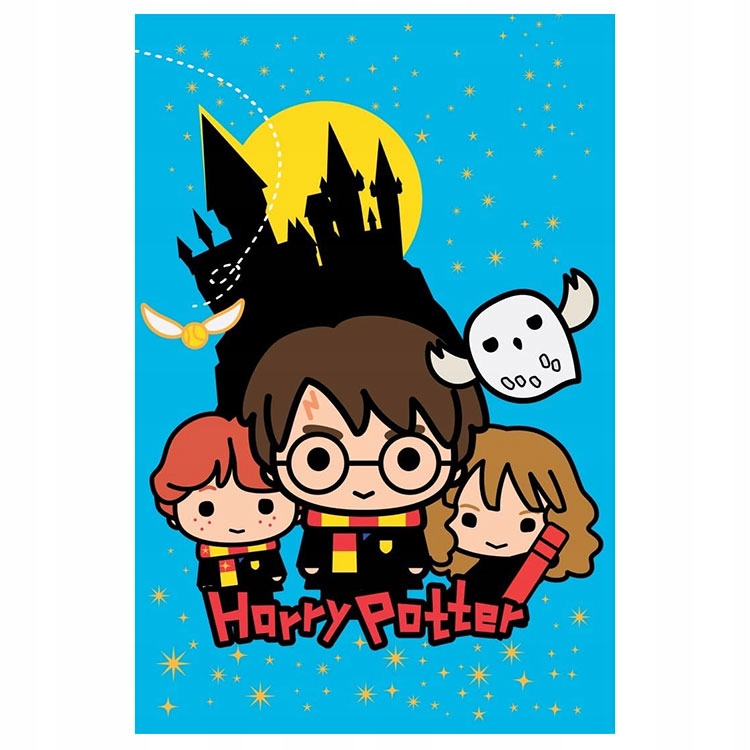 

Koc polarowy Harry Potter: 100cm x 150cm (602766)