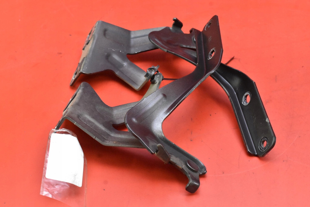 Cerniera Cerniere cofano NISSAN LEAF 1 e ZE0 LIFT 10-17