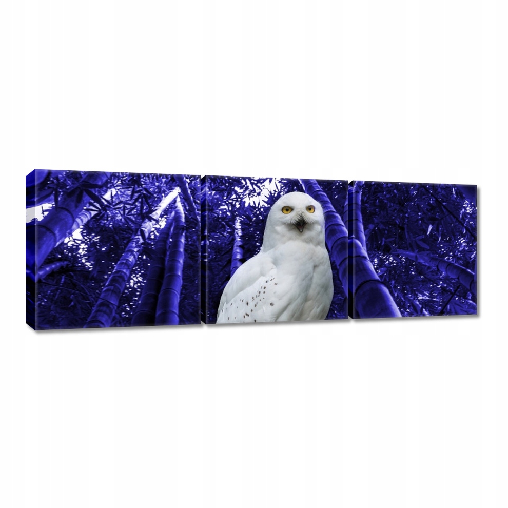 

Obrazy 60x20 Łowca na posterunku Sowa