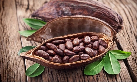 ZIAJA MASŁO KAKAOWE SPRAY PRZYSPIESZAJĄCY OPALANIE Rodzaj inny