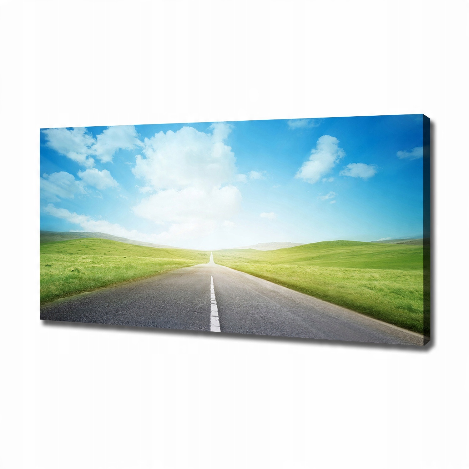 

Foto obraz na płótnie Droga przez łąkę 120x60 cm