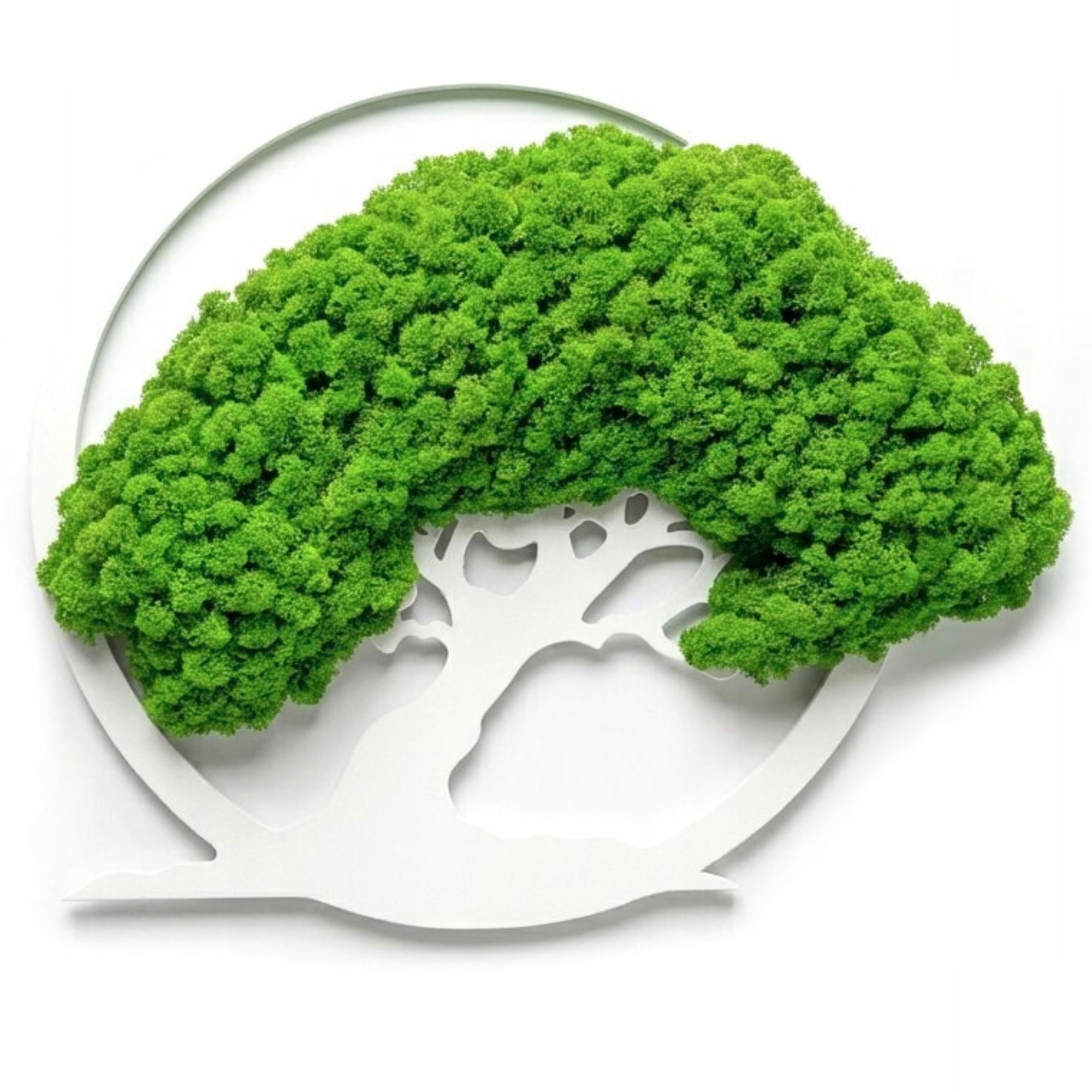 Obraz Z Mechu Chrobotek Živý Stromek Bonsai Na Zeď Ozdoba Dekorace