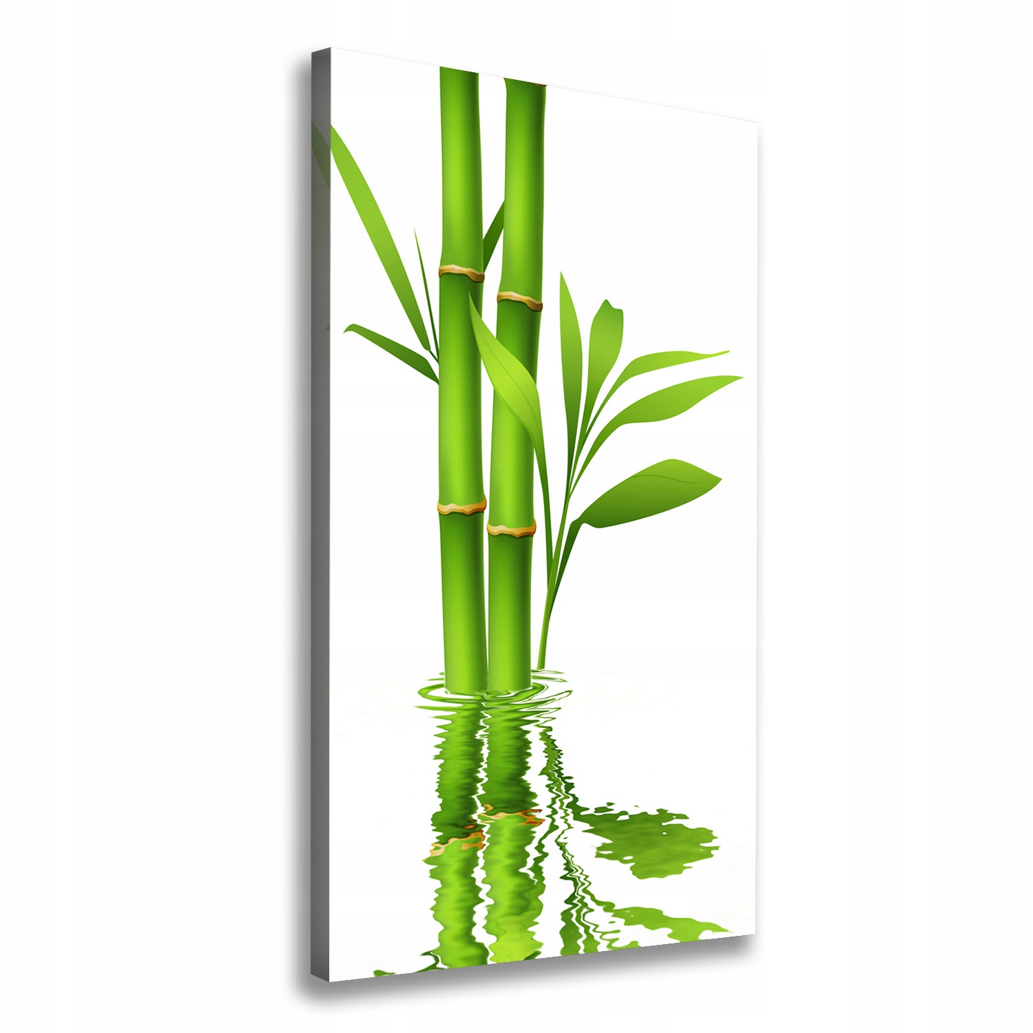 

Nowoczesny fotoobraz canvas na ramie Bambus 60x120