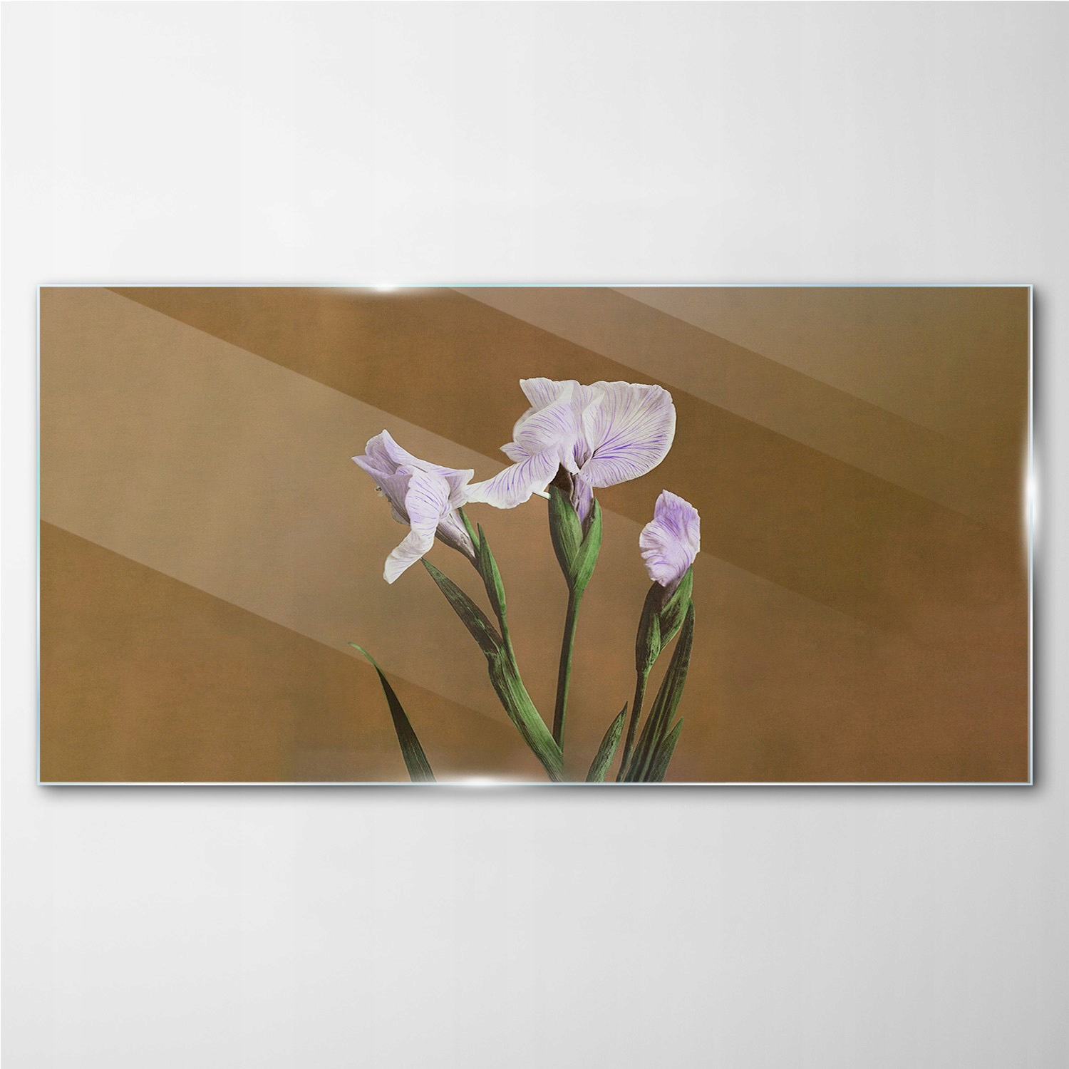 

Szklany obraz na ścianę Kwiaty rośliny 100x50 cm