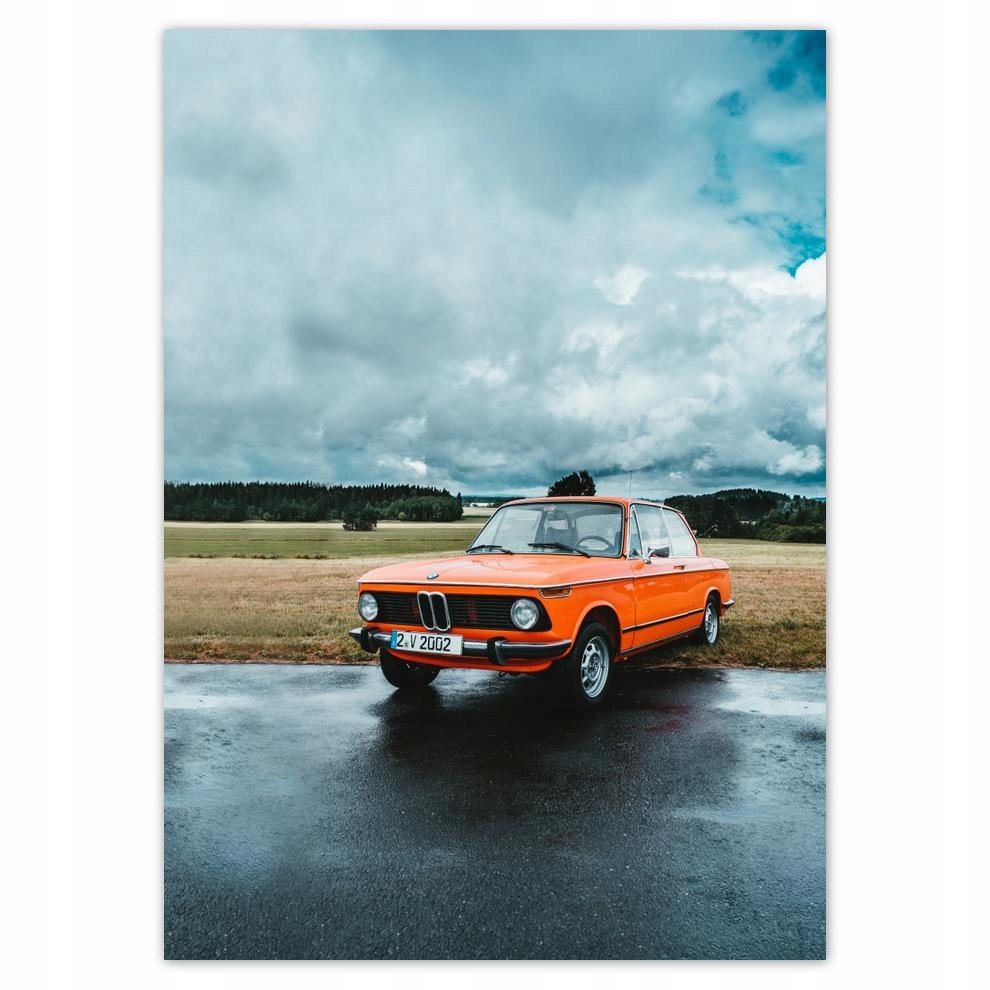 

Naklejki 50x70 Bmw 2002 Kalsyk oldtimer