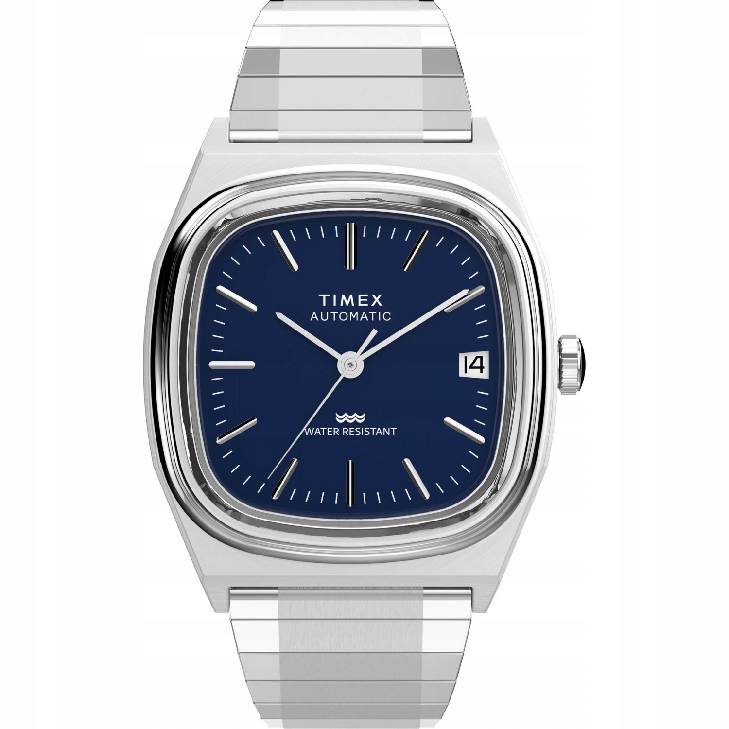 Pánské Hodinky Timex TW2Y07400 stříbrné