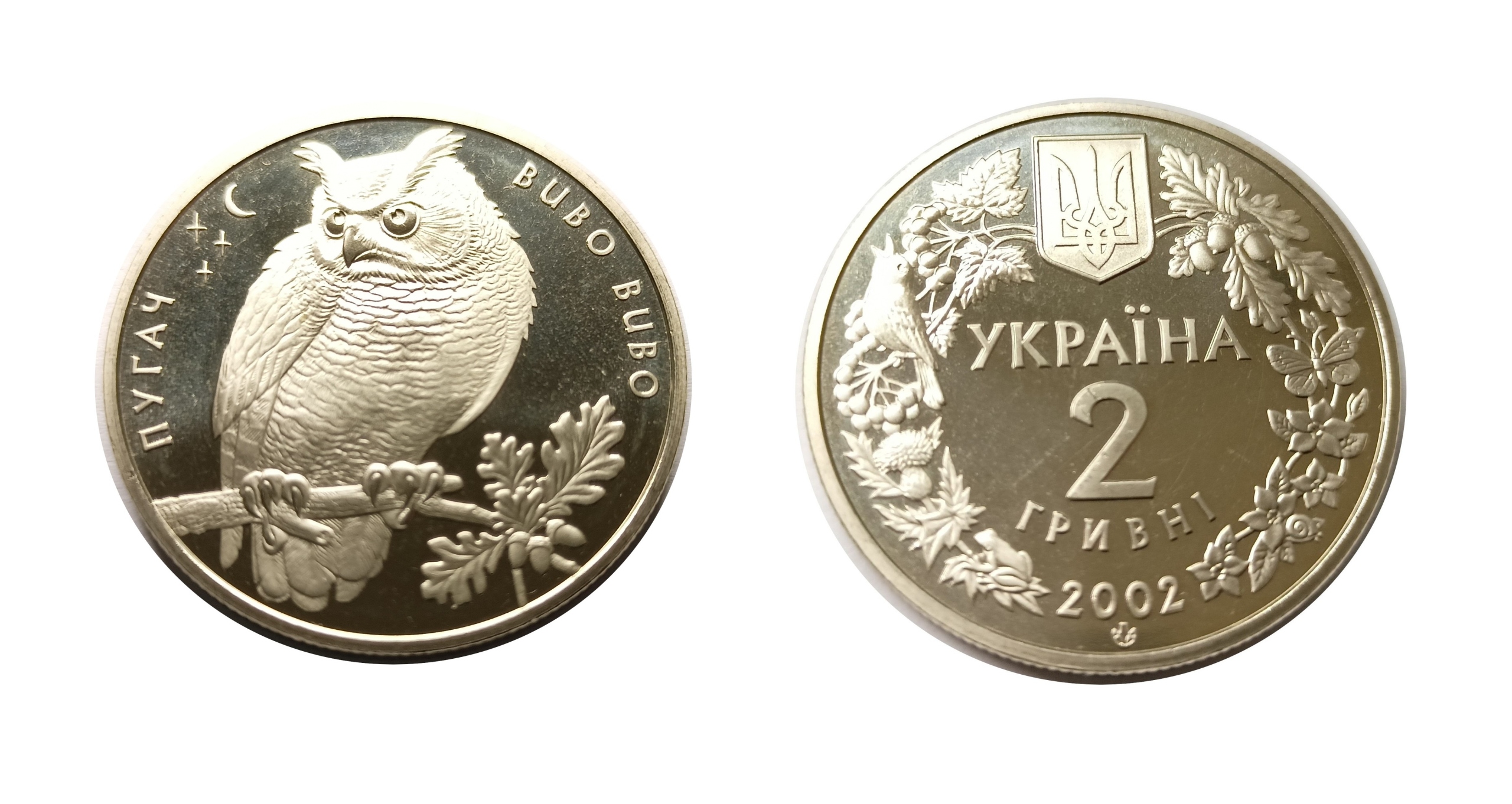 Ukraina 2 hrywny 2002 PUCHACZ , RZADKA!