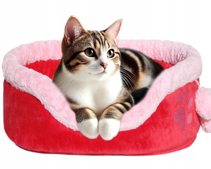 Levně Spaní pelíšek potah kotec pro kočky Britská siamská kočka 62x18x44