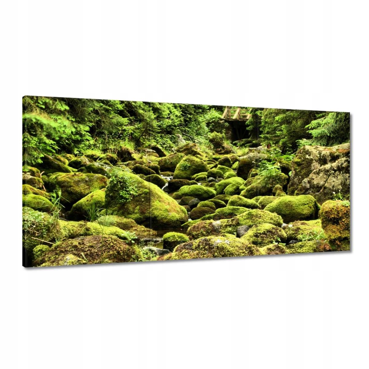 Obrazy 120x60 Tatry Polské hory Pohled