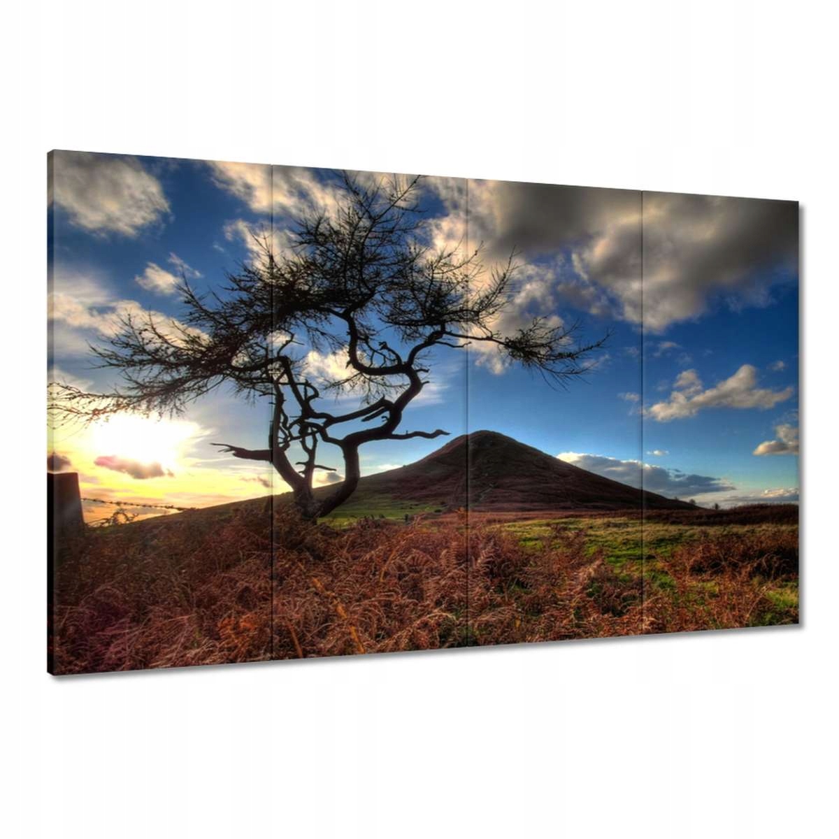 Obrazy 120x80 Stromek