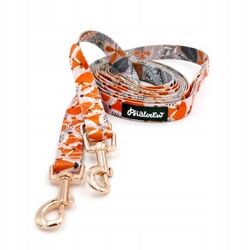 Levně Vodítko pro psa Přepínací lišky 220 cm