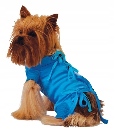 Levně Pooperační Tričko Pro Psa Kočku Ochranné Oblečení Modré, Velikost 2 28 CM